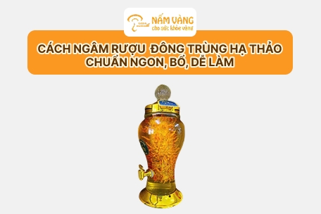 Cách ngâm rượu đông trùng hạ thảo chuẩn ngon, bổ, dễ làm