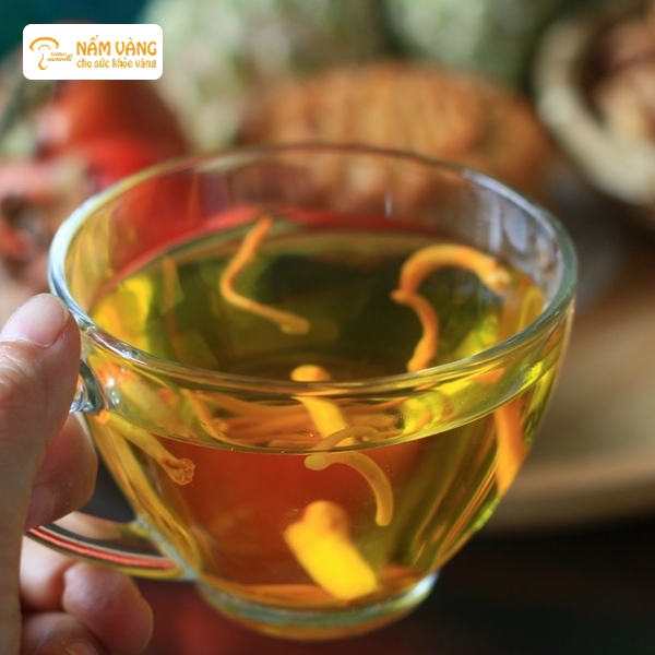 Nhiều nghiên cứu cho thấy đông trùng hạ thảo chứa các hoạt chất quý giúp hỗ trợ điều trị bệnh lý và nâng cao sức khỏe tổng thể