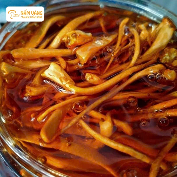 Nấm Vàng là địa chỉ uy tín, cung cấp đông trùng hạ thảo đảm bảo an toàn và dược tính cao
