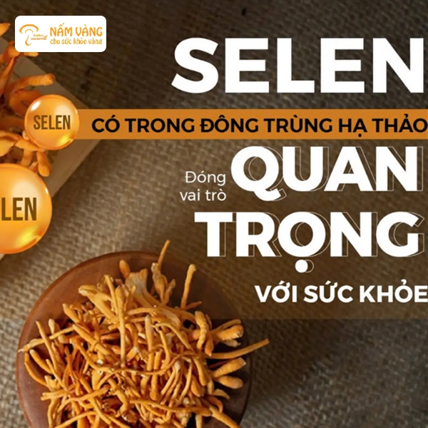 Món canh từ nấm đông trùng hạ thảo tươi giữ được hương vị thơm ngon và giá trị dinh dưỡng cao