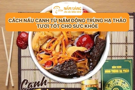 Cách nấu canh từ nấm đông trùng hạ thảo tươi tốt cho sức khỏe