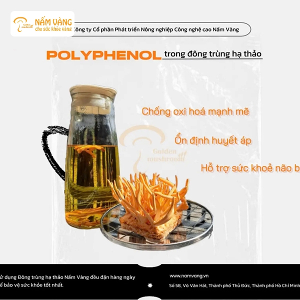 Rượu đông trùng hạ thảo được nhiều nam giới ưa chuộng nhờ những lợi ích sức khỏe vượt trội