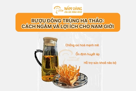 Rượu đông trùng hạ thảo: Cách ngâm và lợi ích cho nam giới