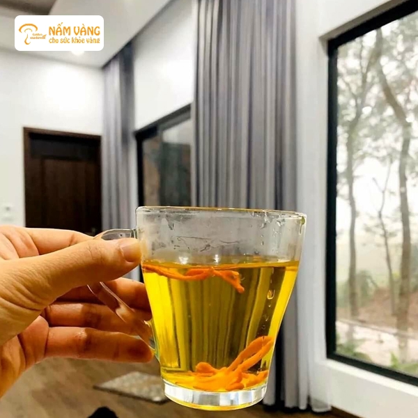 Việc sử dụng đúng cách giúp duy trì chất lượng cuộc sống, tăng sức khỏe toàn diện và kéo dài tuổi thọ