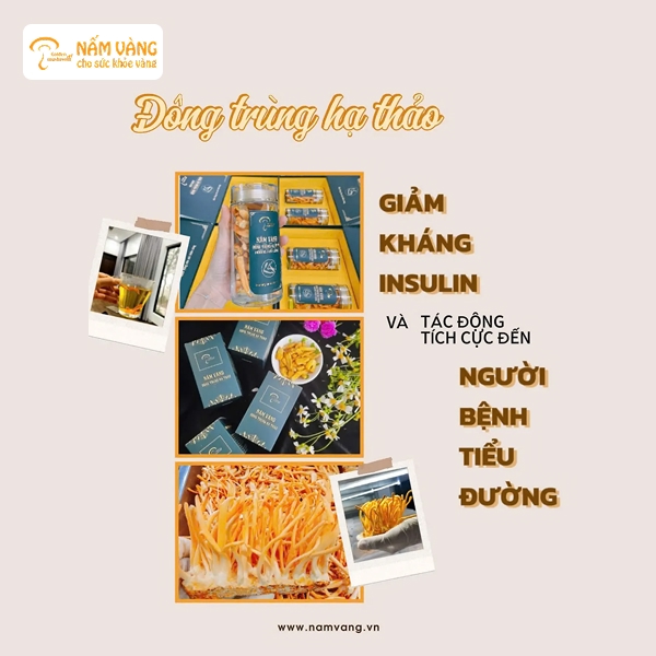 Nhai chậm 1-2g đông trùng hạ thảo nguyên con vào buổi sáng, giúp kích thích tiêu hóa và giảm cảm giác thèm ăn
