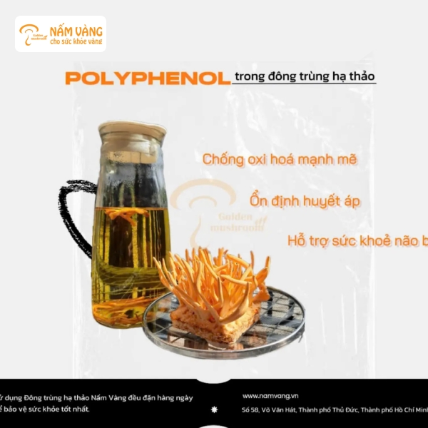 Nấm Vàng là thương hiệu được nhiều người tin dùng nhờ sản phẩm đạt chuẩn chất lượng, rõ nguồn gốc và an toàn tuyệt đối