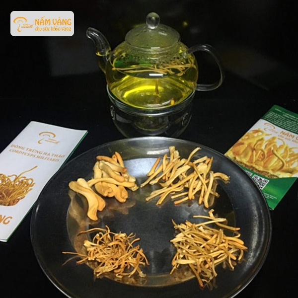 Trà đông trùng hạ thảo thơm ngon bổ dưỡng