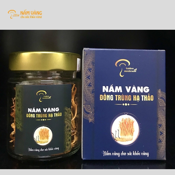 Dược liệu đông trùng hạ thảo dùng trong y học hiện đại