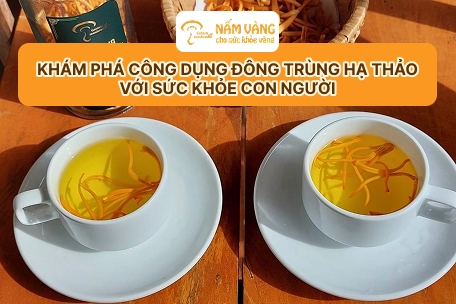 Đông trùng hạ thảo tự nhiên hỗ trợ tăng cường sinh lực