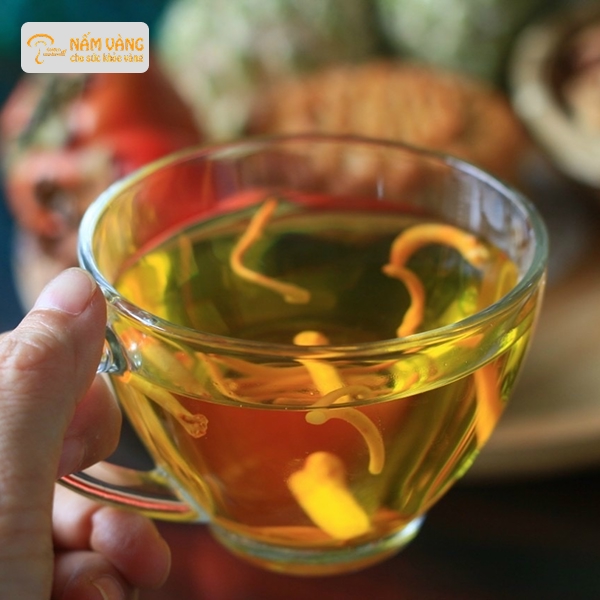 Tinh hoa đông trùng hạ thảo khô trong y học phương Đông