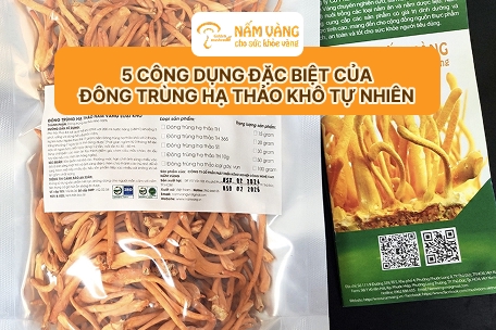 đông trùng hạ thảo khô dạng hộp cao cấp