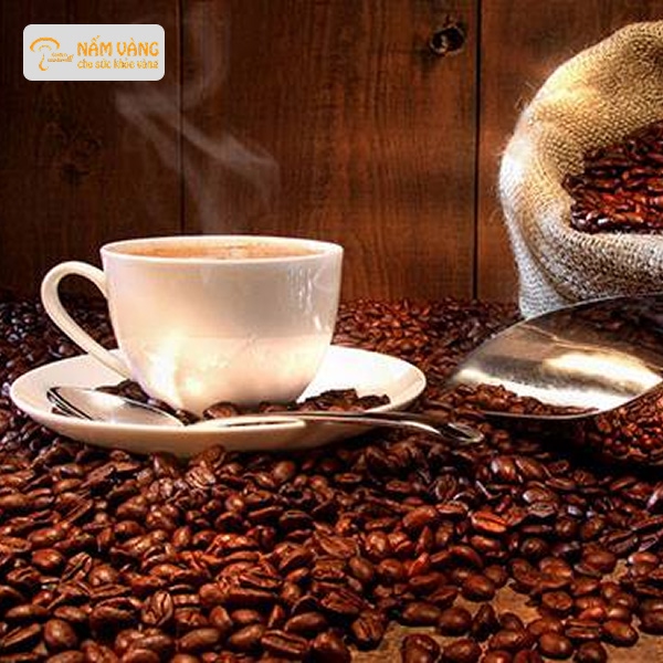Đông trùng hạ thảo không nên dùng cùng rượu bia, cà phê