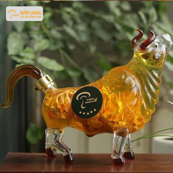 Công dụng của đông trùng hạ thảo với sức khỏe