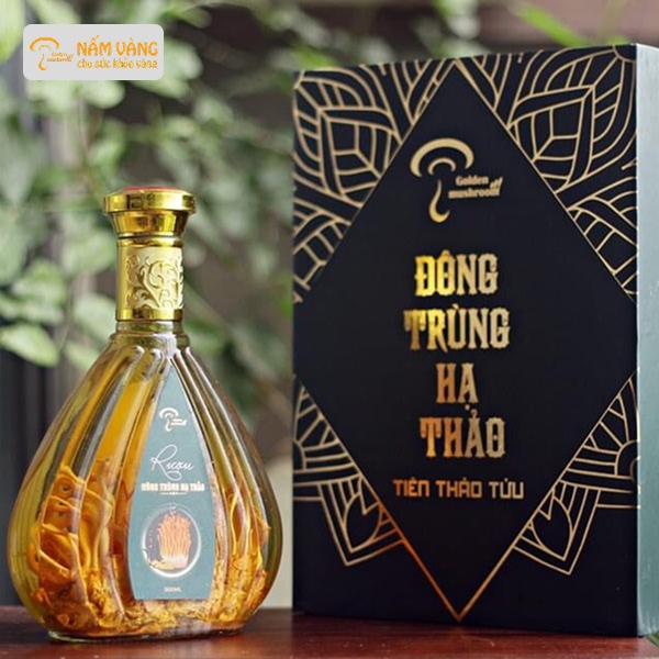 Sản phẩm đông trùng hạ thảo kiểm định y tế