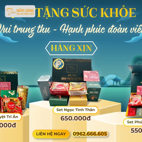 Bộ sưu tập 3 set quà Trung thu Nấm Vàng 2025