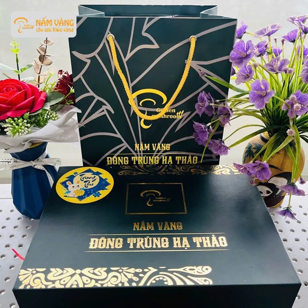 Đông trùng hạ thảo Nấm Vàng trong quà tặng Trung thu