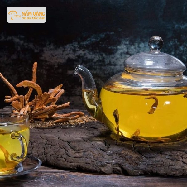 Tách trà đông trùng hạ thảo giúp tăng cường miễn dịch tự nhiên
