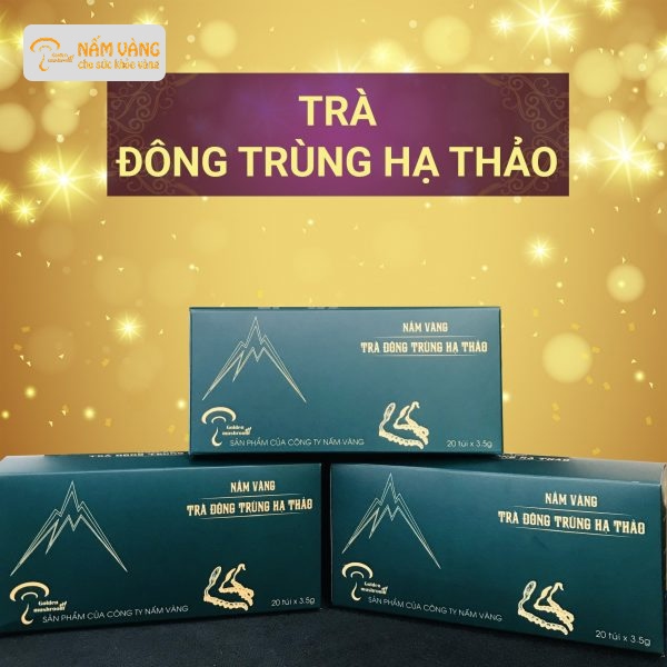 Đông trùng hạ thảo trong Đông y với công dụng bổ phổi, thận