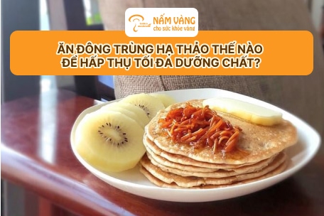 Sản phẩm đông trùng hạ thảo Nấm Vàng đạt chuẩn