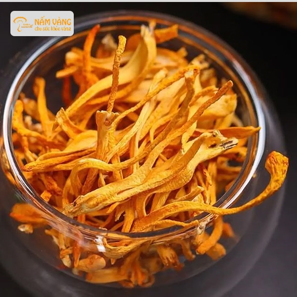 Đông trùng hạ thảo khô sấy thăng hoa