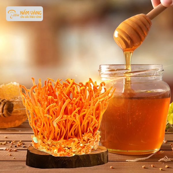 Đông trùng hạ thảo tươi ngâm mật ong nguyên chất