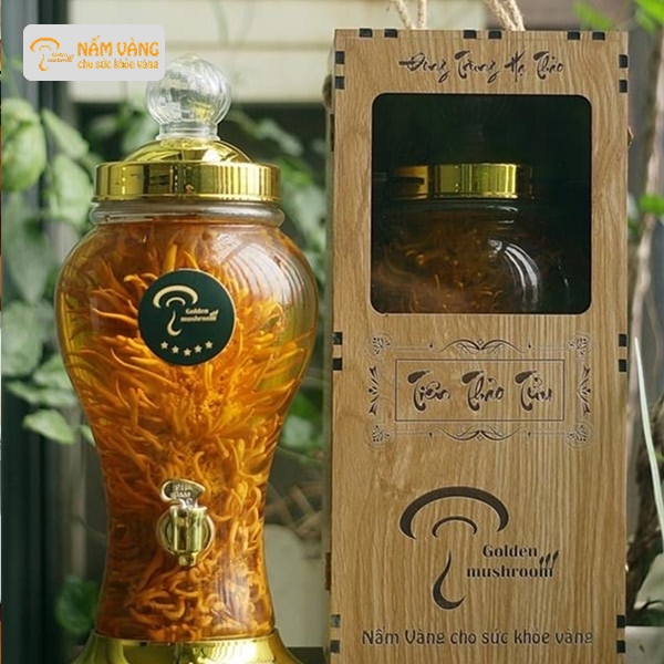 Rượu ngâm đông trùng hạ thảo tươi bổ thận, tăng cường sinh lực