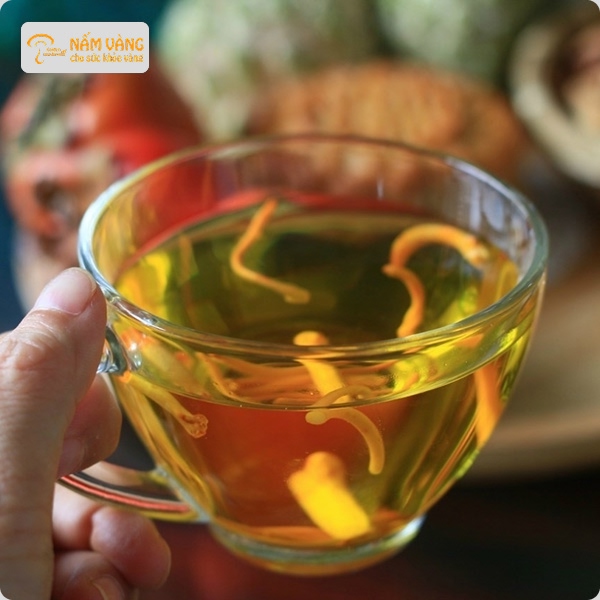 Đông trùng hạ thảo tươi Nấm Vàng thu hoạch trong ngày