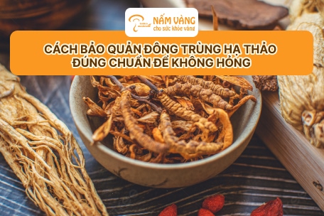 Đông trùng hạ thảo kết hợp bao bì cao cấp