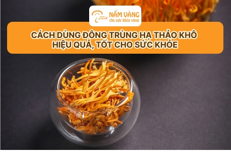 Tư vấn sử dụng đông trùng hạ thảo khô hiệu quả cùng Nấm Vàng
