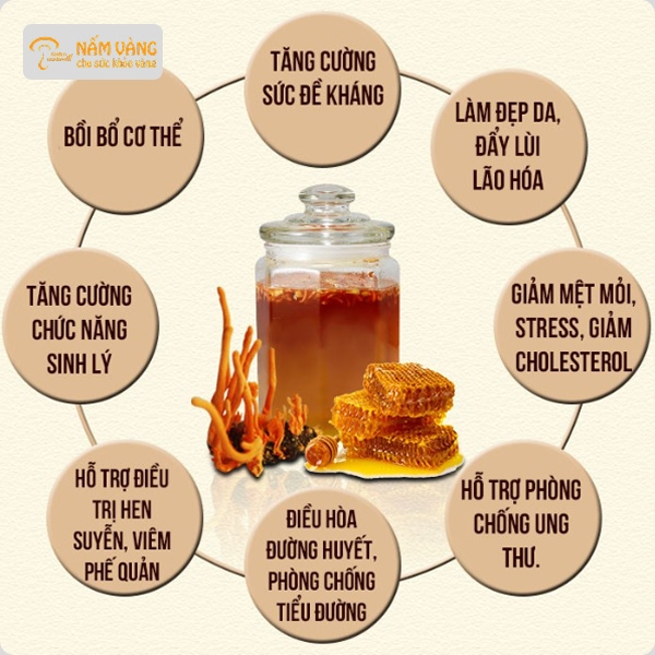 Chuyên gia Nấm Vàng tư vấn cách dùng đông trùng hạ thảo với mật ong