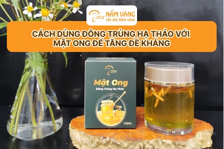 Sợi đông trùng hạ thảo khô đặt trên bàn gỗ, chuẩn bị ngâm mật ong