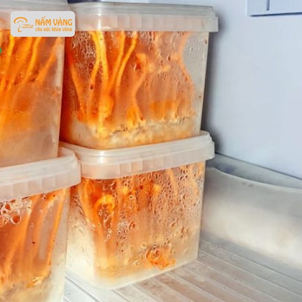 Đông trùng hạ thảo được cấp đông trong tủ lạnh chuyên dụng