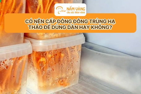 Đông trùng hạ thảo cấp đông thương hiệu Nấm Vàng