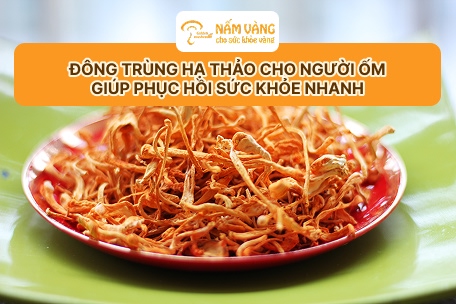 Các dòng sản phẩm đông trùng hạ thảo Nấm Vàng