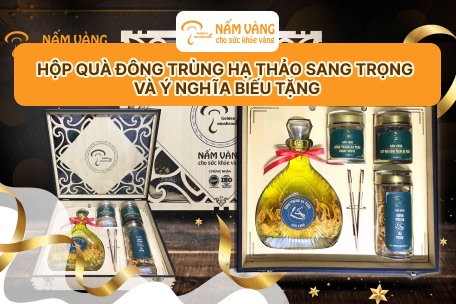 Bí quyết chọn hộp quà đông trùng hạ thảo phù hợp