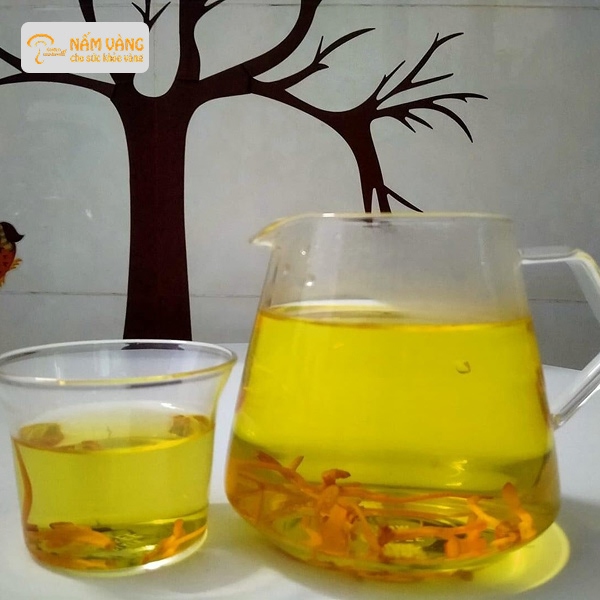 Đông trùng hạ thảo tăng cường miễn dịch và cải thiện sức khỏe