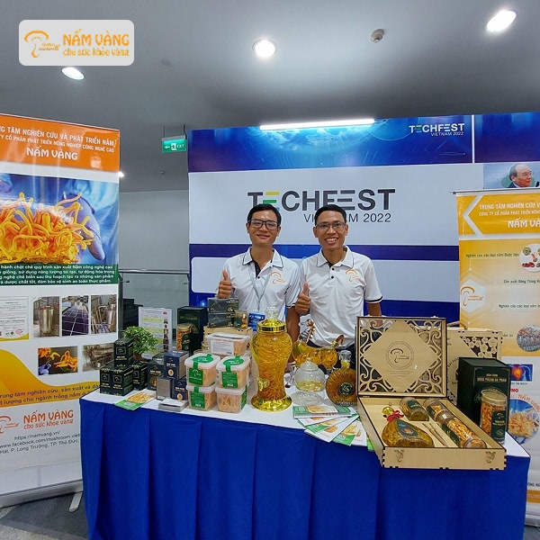 Sản phẩm đông trùng hạ thảo Nấm Vàng uy tín và an toàn