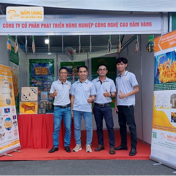 Đông trùng hạ thảo Nấm Vàng đạt chuẩn chất lượng