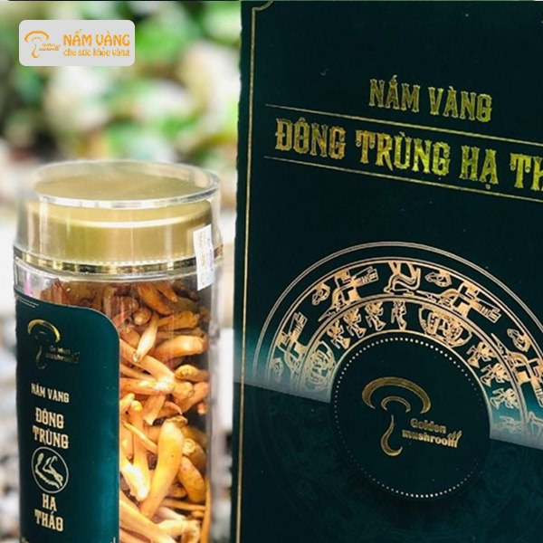 Thương hiệu Nấm Vàng cam kết nguồn gốc đông trùng hạ thảo