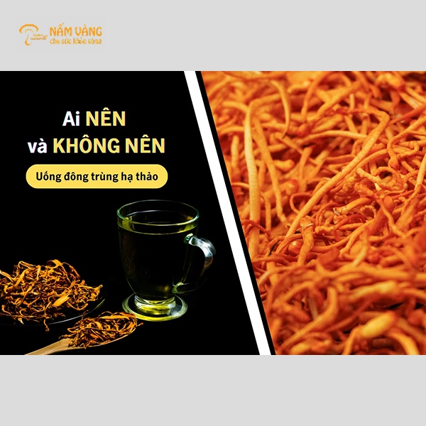 ĐỐI TƯỢNG KHÔNG NÊN DÙNG ĐÔNG TRÙNG HẠ THẢO DO ẢNH HƯỞNG SỨC KHỎE