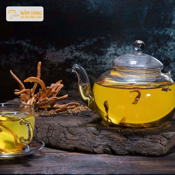 Hãm trà đông trùng hạ thảo