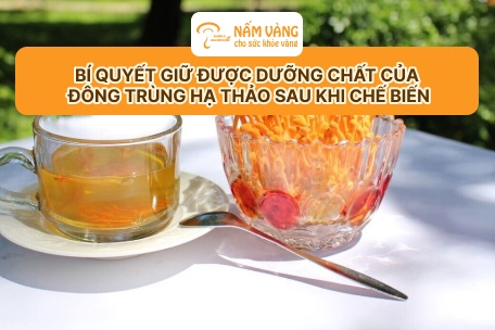 Sản phẩm đông trùng hạ thảo Nấm Vàng