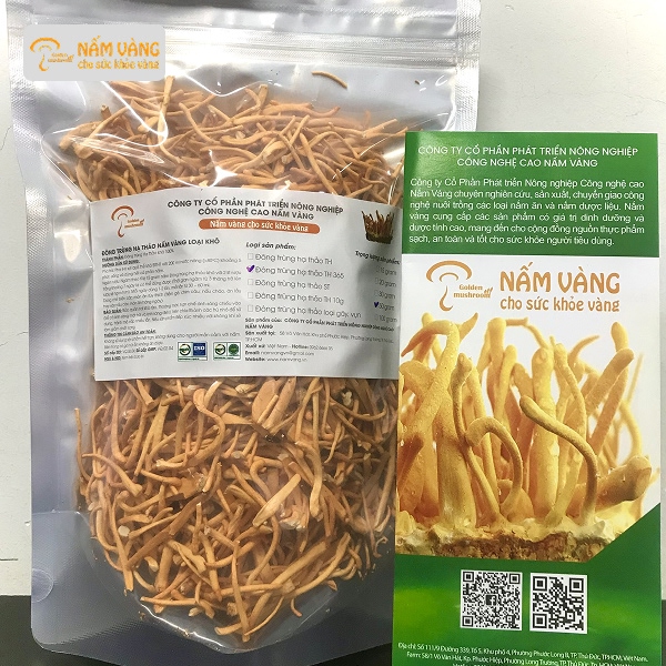 Nghiên cứu khoa học về cordycepin tác động giấc ngủ