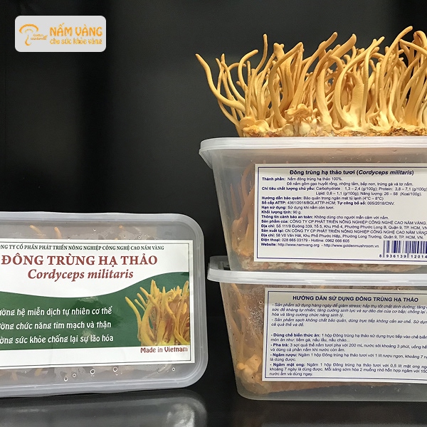 Lịch trình sử dụng đông trùng hạ thảo buổi tối