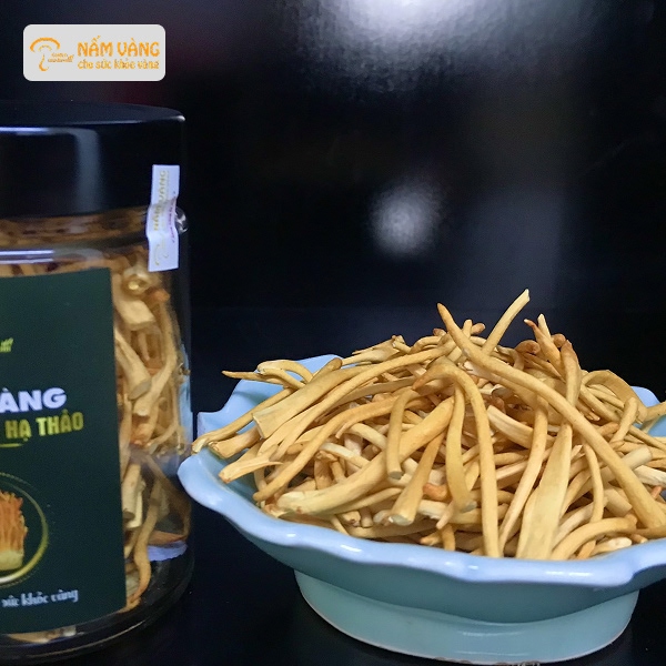 Đông trùng hạ thảo tươi – dược liệu quý hiếm