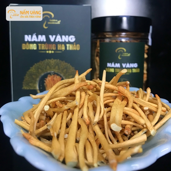 đông trùng hạ thảo làm đẹp da giảm mất cân bằng nội tiết
