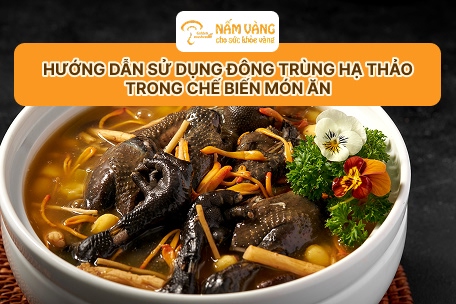 phòng nuôi cấy đông trùng hạ thảo Nấm Vàng