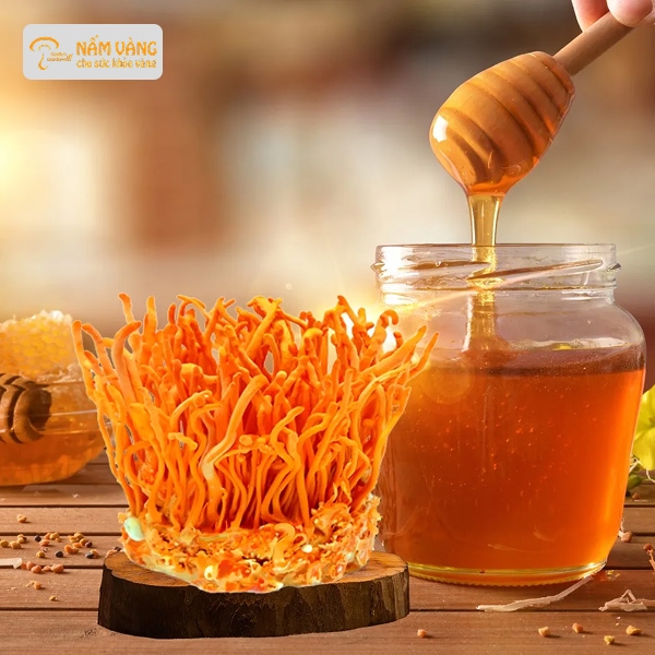 đông trùng hạ thảo hỗ trợ cải thiện giấc ngủ