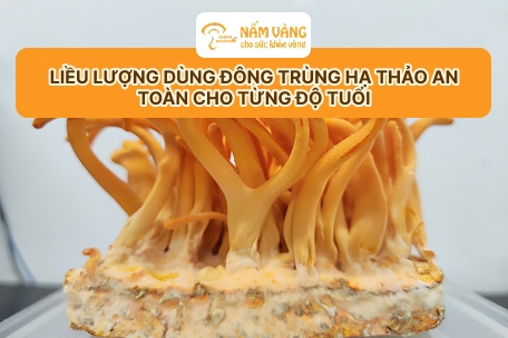 Sản phẩm đông trùng hạ thảo Nấm Vàng uy tín