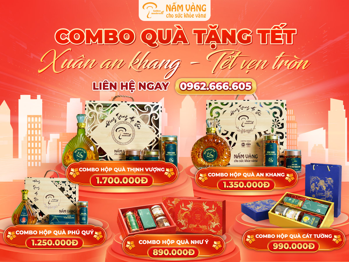 Combo hộp quà Tết Nấm Vàng xu hướng quà biếu sức khỏe 2026